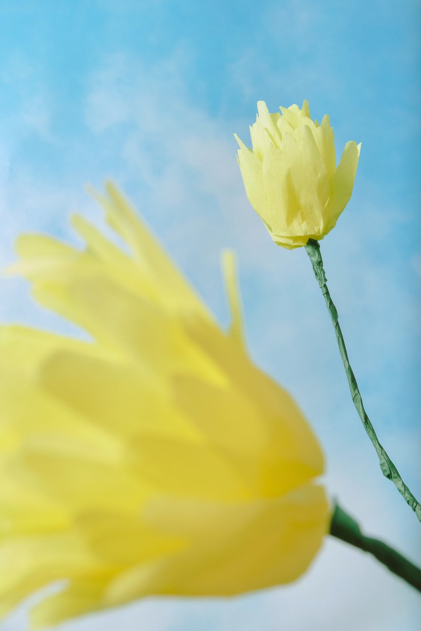 Yellow Flowers against the Sky